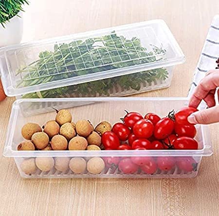 Vegetable Storage Container